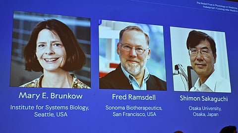 A screen showing the photos of Mary E Brunkow, Fred Ramsdell and Shimon Sakaguchi who were awarded the Nobel Prize in Medicine or Physiology, at the Nobel Assembly of the Karolinska Institutet, in Stockholm, Sweden, Monday, Oct. 6, 2025.