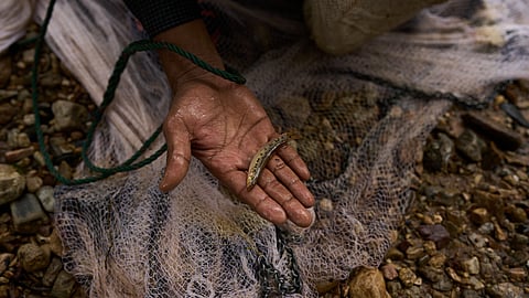 Mahmud Karmar holds a small fish he caught in the river near the Mae La refugee camp in the Tak province of Thailand, Thursday, Aug. 28, 2025