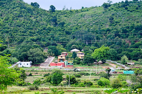 TTDC’s engineering division will carry out the development works at Puliyancholai in Tiruchy district.