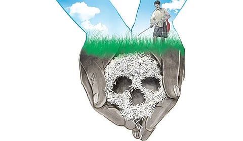 Cancer cases are reportedly rising, with doctors linking several to prolonged exposure in the fields.