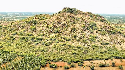 Nagamalai hillock hosts 118 bird species including migratory ones.