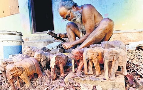 Photo for representation