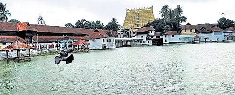 There is excessive algal bloom in the water body, which needs to be fixed