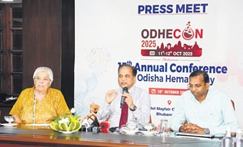 Professor RK Jena speaking at the pre-conference workshop