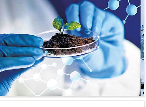 Traditional sectors such as rubber, coir, and organic farming continue to sustain the bio-agriculture segment, while diagnostics, research, and life sciences services have strengthened the bio-services sector.