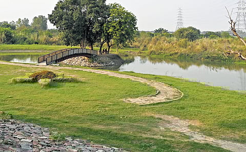 Breathing life into Delhi’s forgotten riverfront