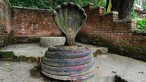 Nag Devta, or Shesha Nag. The ancient temple of Dakshinakali in Kathmandu, where the serpent deity is placed on the right side of the temple stairs of Sesha Narayan.