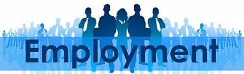 Employment rate rises to 5-month high in September