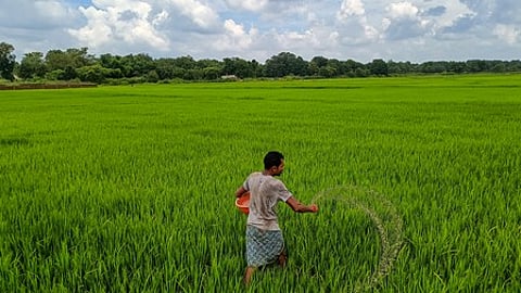 Image used for representative purpose.