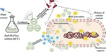 A diagram published in the research by the NIT-R team