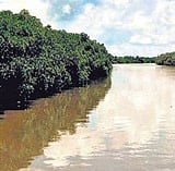 Before Bhitarkanika, the Tourism department had prepared an integrated master plan for Satkosia Tiger Reserve under Special Assistance to States for Capital Investment (SASCI) scheme.