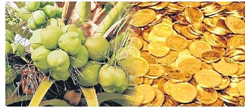 Gold inflation stands at 46.87% year-on-year, silver at 41.75%, while coconut oil prices have surged 108.70%.