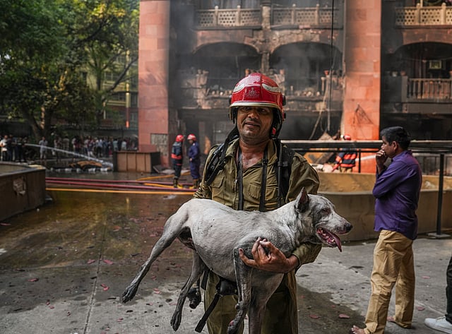 A firefighter rescues a dog after a fire broke out at Brahmaputra apartments, in New Delhi, Saturday, Oct. 18, 2025.