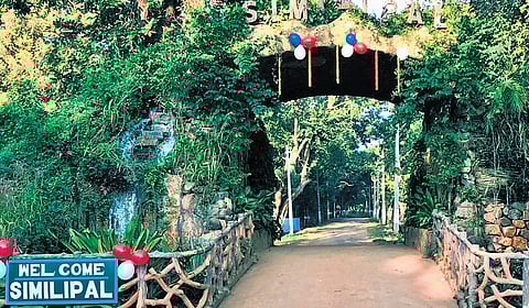 Similipal National Park.