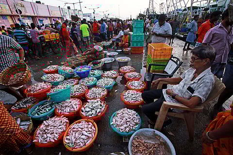 People purchase fish from the Kasimedu fish market in Chennai.