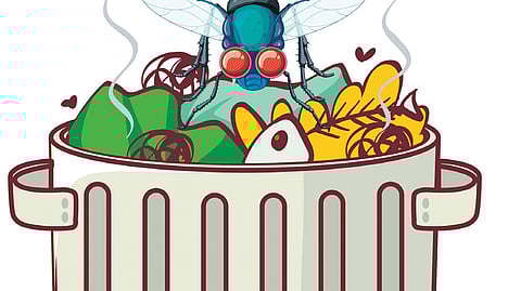 The community-level plants will vary in capacity, based on local requirements.