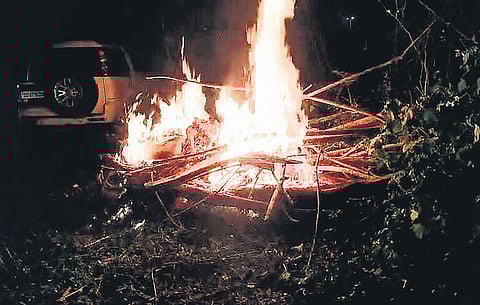 Police burning the logs of the trees on Saturday night.