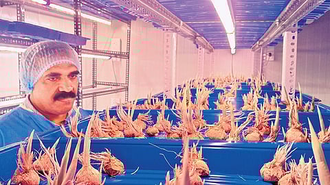 James Kappan at his indoor facility