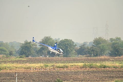 The forest department plans to shift around 400 blackbucks and 100 nilgais to the Gandhi Sagar Wildlife Sanctuary, using the helicopter boma technique. (Photo | Special arrangement)