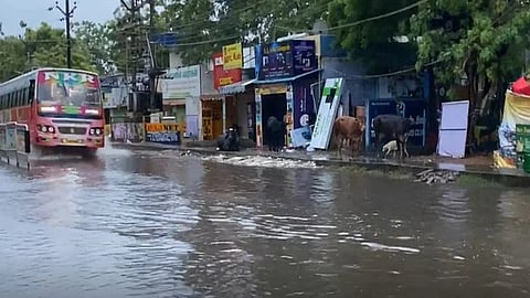 The northeast monsoon has intensified over the region, bringing continuous rainfall since Monday night.