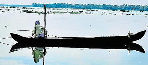 The analysis found that inland waterlogged areas shrank by 73.58 hectares, tanks and ponds declined by 11 hectares, whereas coastal natural wetlands such as mangroves and lagoons registered a small increase of 61 hectares