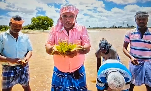 Farmers showing inundated paddy crops in Ramanathapuram district.