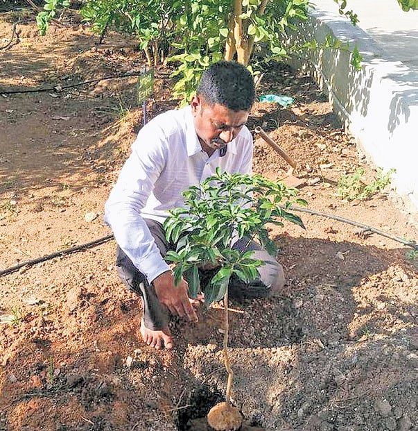 Rajesh Kanna and Kannan planting saplings, using discarded water bottles turning waste into tools for environmental change | Express