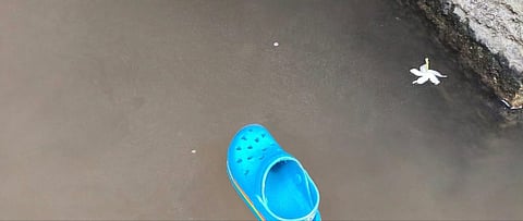 According to eyewitnesses, unidentified miscreants, believed to be tourists, allegedly threw the sandal into the tank.