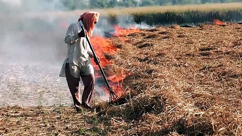 Approximately 58 per cent of the total 31.7 lakh hectares of paddy have been harvested across Punjab.