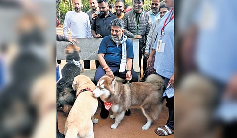 Deputy Chief Minister DK Shivakumar interacts with citrizens and pets dogs during a ‘Walk with Bengaluru’ event at Cubbon Park on Sunday.
