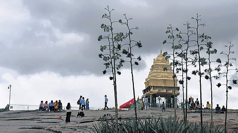 The petitions were filed by Adikesavaru Ravindra and Prakash Belawadi.