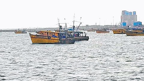 The fishing trawlers from Andhra Pradesh anchored near Gopalpur Port.
