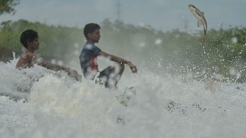A fish leaps through the gushing water at the Maruthur check-dam across the Thamirabarani River in Tirunelveli.