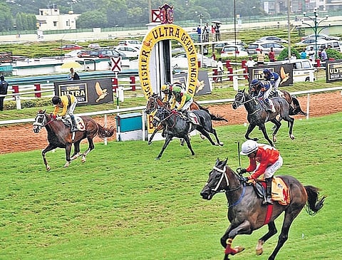 Bangalore Winter Meeting 2025-2026, is a horse-racing season comprising 24 race days.