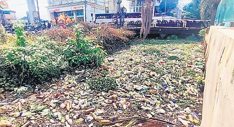 Waste accumulated in the Thevara-Perandoor canal at Kaloor