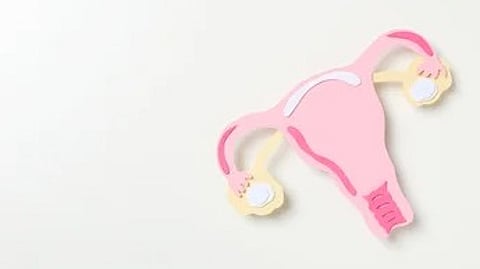 Image used for representational purposes only.