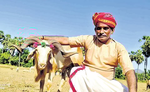 Dr Prasadarao began his career in 1995 as a veterinary doctor, fulfilling his father’s dream of serving dairy farmers.