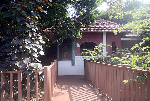 Seeking green resort