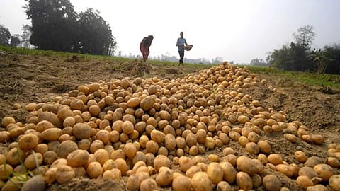 Image used for representative purposes only.