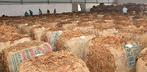 The Ministry, on December 31, 2025, notified the additional excise duties that would be levied on chewing tobacco and related products, in addition to the 40 per cent Goods and Services Tax (GST) rate, from February 1.