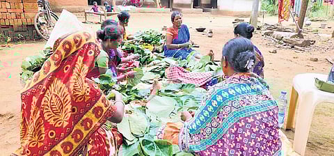 ORMAS eyes world record with 20K sal leaf boats