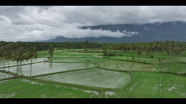 Scene from the documentary