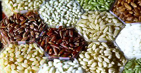 The Ancient Grains of Strength and Wellness