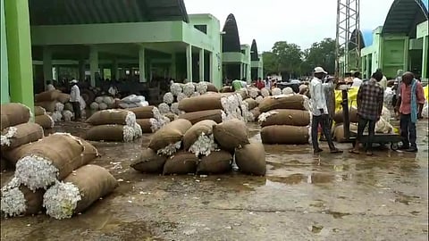 Farmers expressed concern that the heavy rain had soaked the stored cotton crop at the Enumamula Agricultural Market in Warangal.