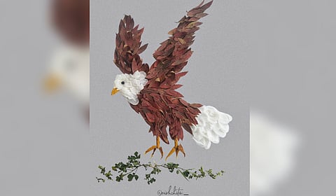 In a tribute to Dr. Salim Ali, the legendary birdman of the country, birders are dedicating the whole month of November to birds in different ways since Salim Ali was born in November.