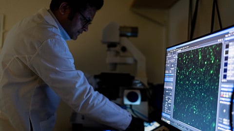 Dr. Sachin Surwase uses a microscope to view cells in the lab where he works on autoimmune research at Johns Hopkins University in Baltimore, Md., May 13, 2025