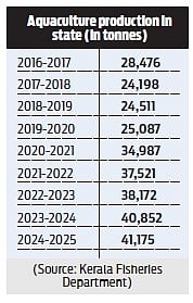 Data with the fisheries department show a consistent rise in aquaculture production over the past eight years.