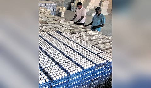 The rise follows a long spell of weak demand and falling prices during the monsoon and festival season.