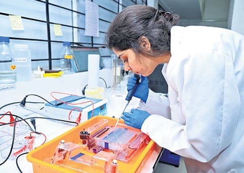 India’s GERD-to-GDP ratio has barely risen in 30 years, lagging behind OECD (2.7%), South Korea (4.9%), Japan (3.4%), and China (2.8%).