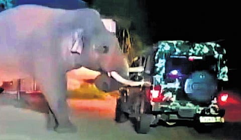 A screengrab of a video showing 'Baahubali' trying to pull a jeep with his tusk